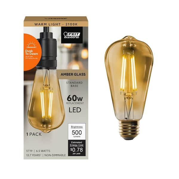 60-Watt Equivalent ST19 Straight Filament Dusk to Dawn Amber Glass E26 Vintage Edison LED Light Bulb, Warm White