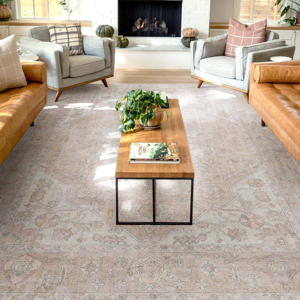Beige Persian-Inspired Chenille 7'7" x 9'10" Area Rug