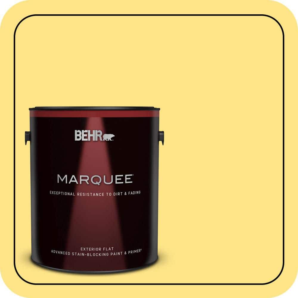 1 gal. #P300-5 Upbeat Flat Exterior Paint & Primer price history on PriceWatchPro