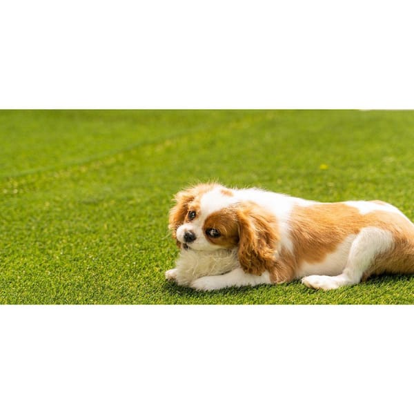 Nance Carpet and Rug Premium Turf 2 ft. x 3 ft. Green Artificial Grass Rug  21405 - The Home Depot