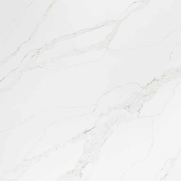 5 in. x 7 in. Quartz Countertop Sample in Calacatta Safyra