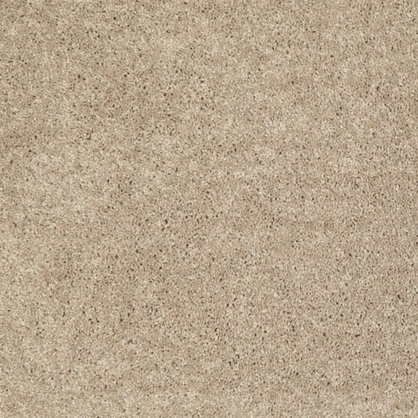 Palmdale II - Honey Wheat - Brown 31.2 oz. Polyester Texture Installed Carpet