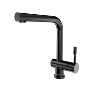 Nassau 1-Handle Stainless Steel Pull Out Sprayer Kitchen Faucet (No Spray Feature) in Steel Black
