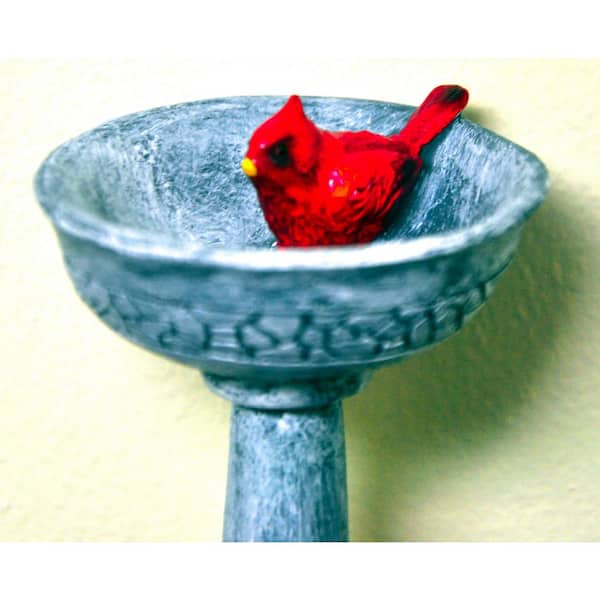 littleGarden♡ Amazon.com: TEMI Toddler Toys Birthday Gifts for 3 4 5 6 7 Year