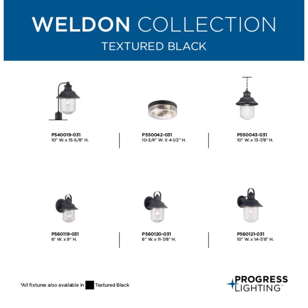 Black Bronze Medium Outdoor Wall Lantern with Clear Glass