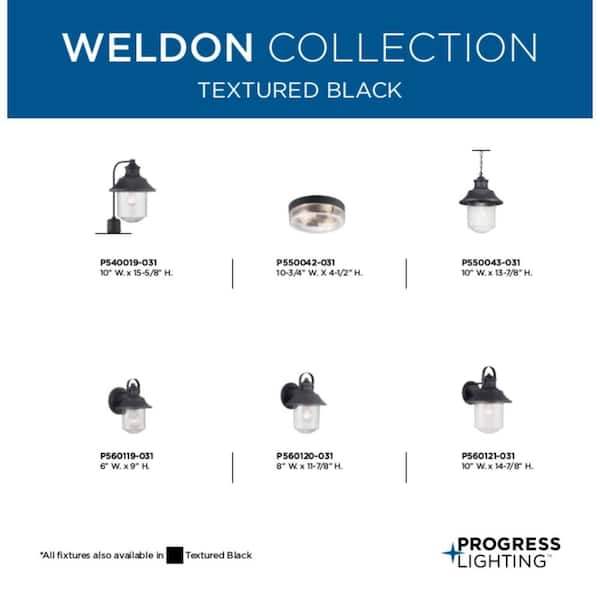 Weldon Collection 1-Light Textured Black Clear Seeded Glass Farmhouse Outdoor Large Wall Lantern Light