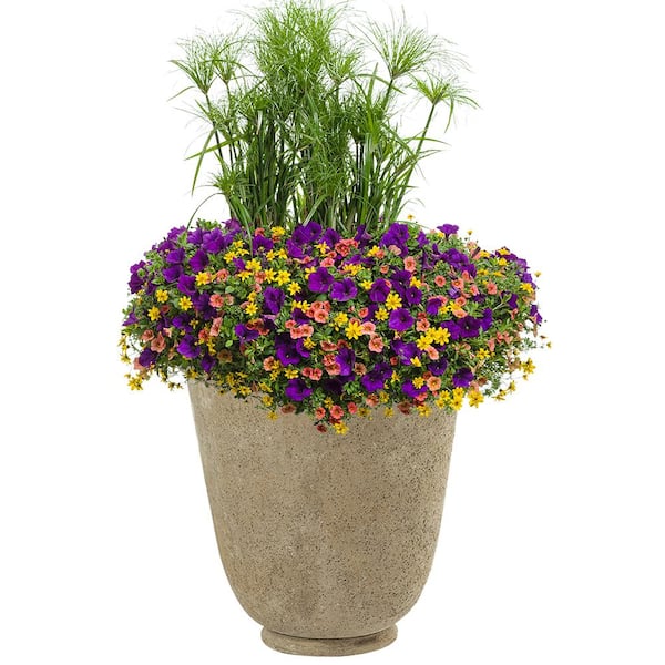 Hutton 22 in. Natural LavaStone Planter