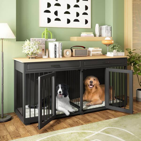 Where to put dog crate hot sale in house