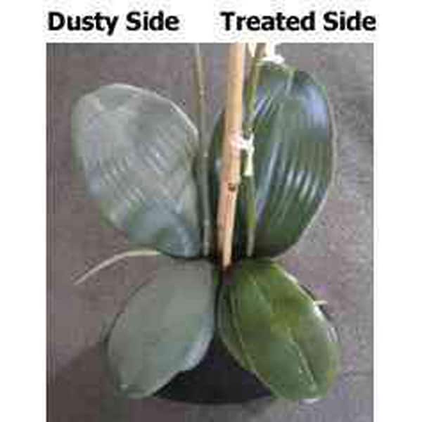 Sparkle Plenty Silk Sensation Artificial Plants Cleaner & Silk Flower  Cleaner Spray - Silk Plant Cleaner Spray No Wipe - Spray Away Dust Remover  