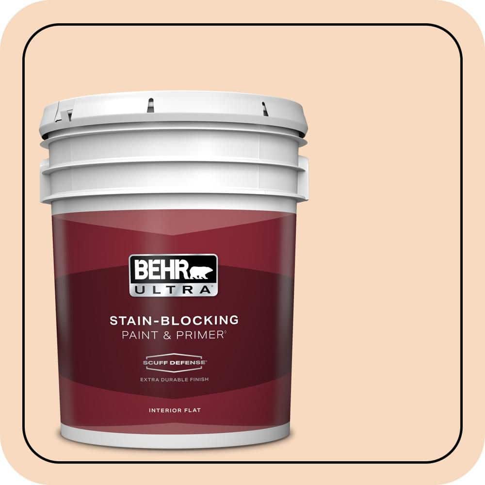 5 gal. #M220-2 Pumpkin Essence Extra Durable Flat Interior Paint & Primer price history on PriceWatchPro