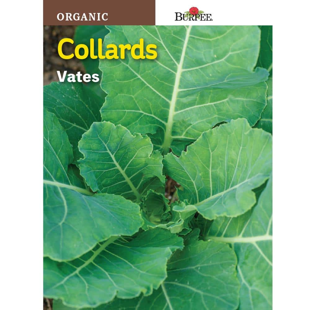 Greens Collard Organic