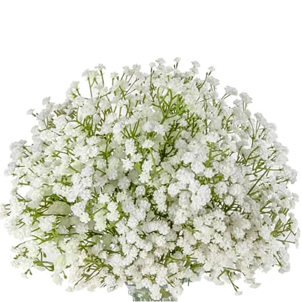 Flower Gloss Tee ホワイト 新品 完売】ジプソフィア Flower Gloss Tee