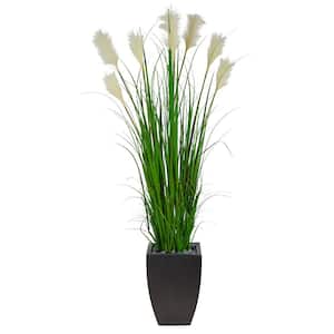 64in. Wheat Plume Grass Artificial Plant in Black Planter