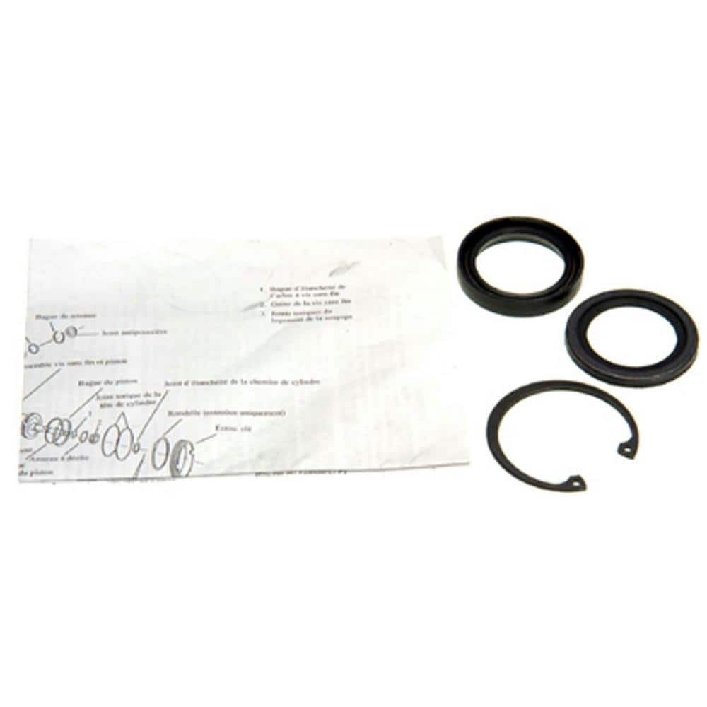 UPC 021597995166 product image for Steering Gear Pitman Shaft Seal Kit - Lower | upcitemdb.com