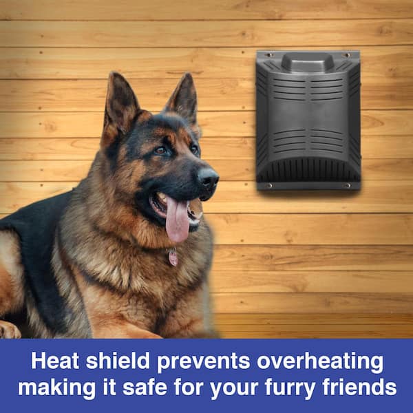 Heater for dog house outside best sale