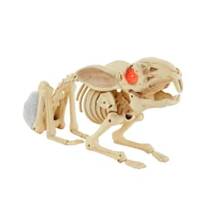 15 in. Animated LED Skeleton Bunny