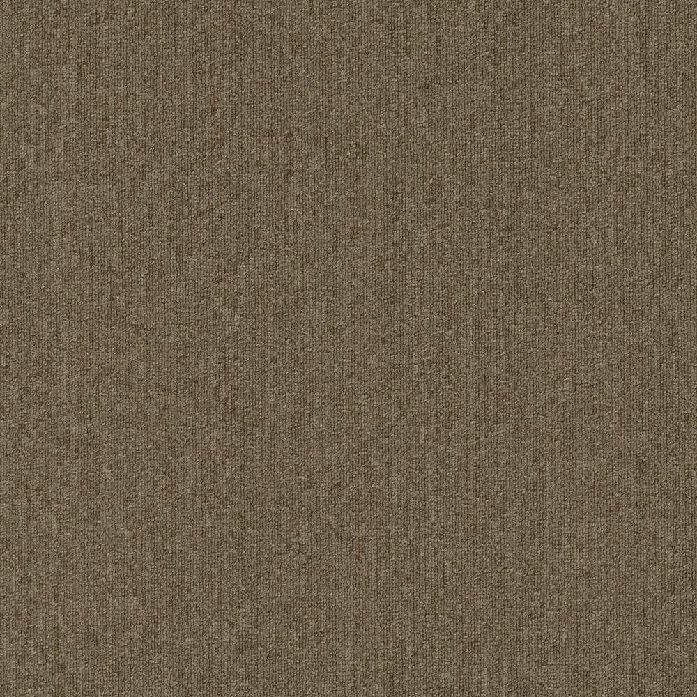 8 in. x 8 in. Loop Carpet Sample - Form Focus Tile - Color Truffle price history on PriceWatchPro