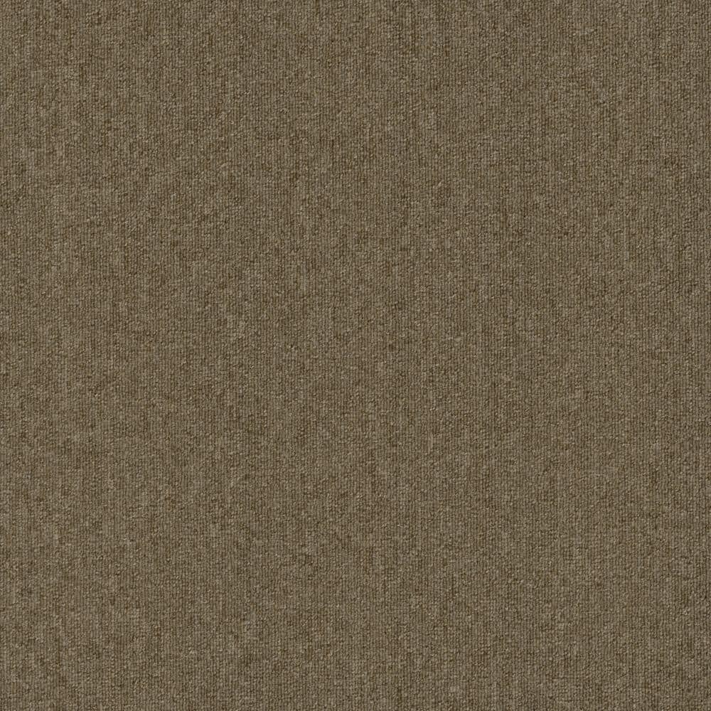 8 in. x 8 in. Loop Carpet Sample - Form Focus 20 - Color Truffle price history on PriceWatchPro
