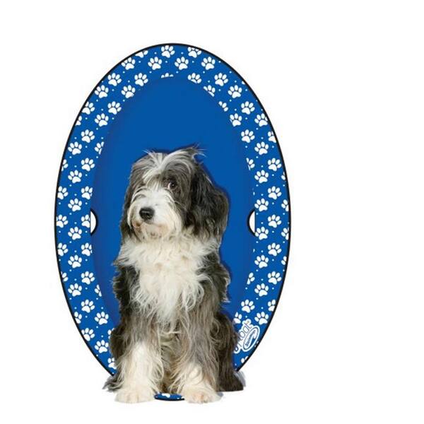 SwimWays Spring PVC Large Float Paddle 