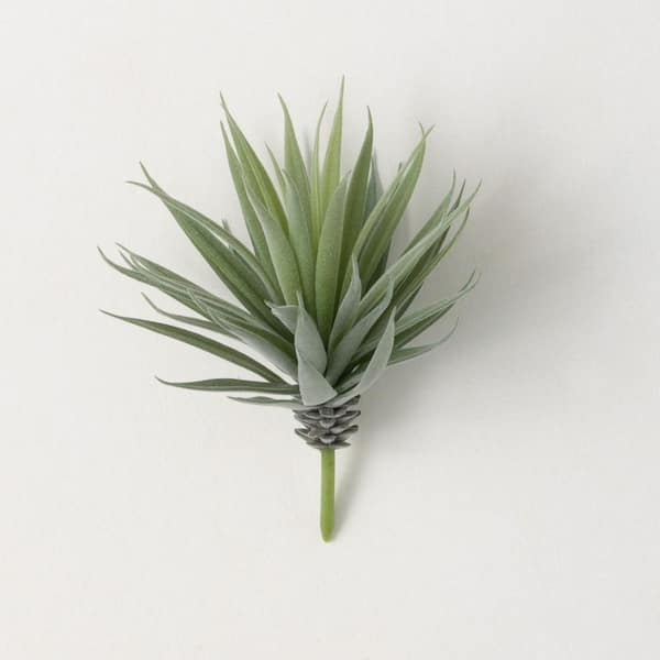 SULLIVANS 5.5 in. Velvety Soft Agave Stem; Green