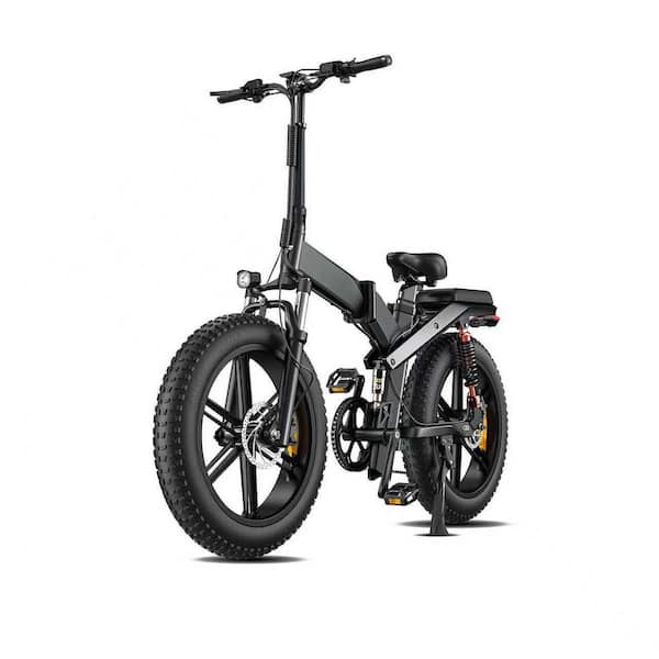 Zeus & Ruta 20 in. 750-Watt Folding Electric Bike Fat Tire 48-Volt 13 Ah  Lithium Removable Battery for Adults in Black BCFG-28