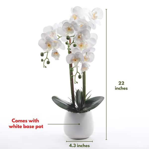 FOREVER LEAF 22.6 in. Artificial White Orchid Artificial Plant in