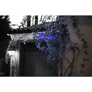 36-Light Indoor/Outdoor 12 ft. Battery Powered Micro LED String Light in Blue