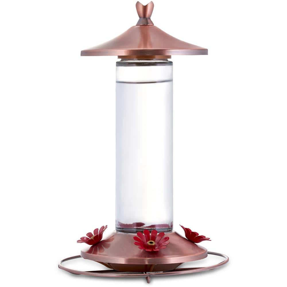 12 oz Perky-Pet 710B Elegant Copper Glass Hummingbird Feeder 