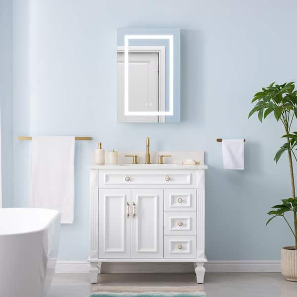 20 in. W x 30 in. H Rectangular Aluminum Recess Surface Mount Medicine Cabinet with Mirror,6000K Lighted,Dimmer,Defogger