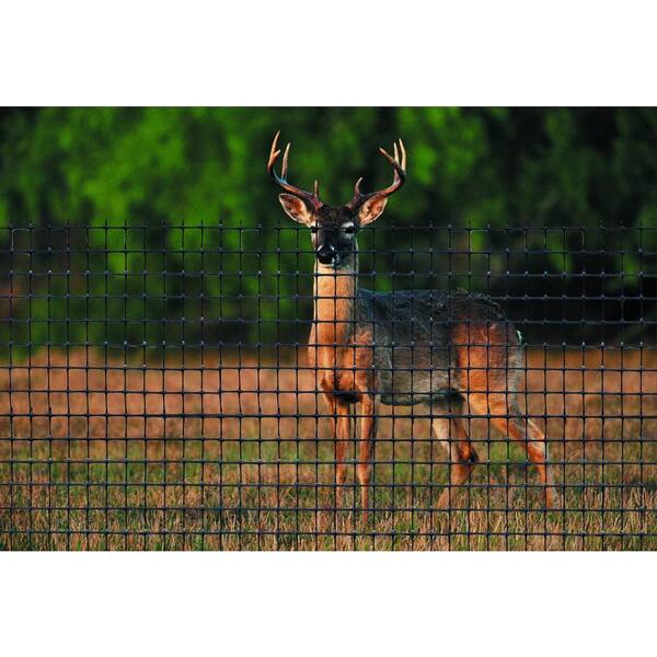 Tenax 7 5 Ft X 100 Black C Flex Plastic P Deer Fence 1a120386 The Home Depot Tenax 7 5 Ft X 100 Black C Flex, Deer Fence For Garden Home Depot