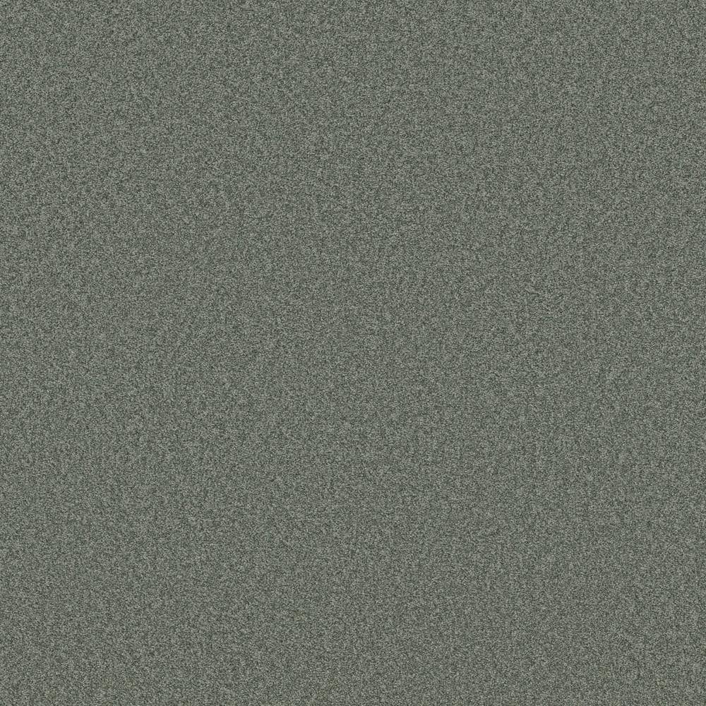 8 in. x 8 in. Texture Carpet Sample - Coastal Charm II -Color Cactus price history on PriceWatchPro