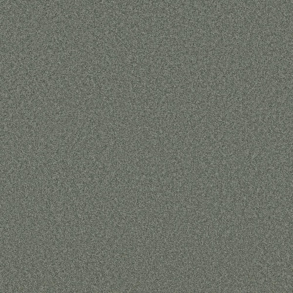 Lifeproof 8 in. x 8 in. Texture Carpet Sample - Coastal Charm II -Color Cactus