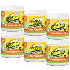 14 oz. Citrus Solid Odor Absorber, Odor Eliminator for Smoke Odor and Musty Smell in Home, Bathroom, Pet Areas (6-Pack)