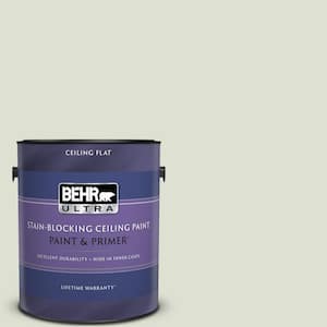 1 gal. #PPU10-12 Whitened Sage Ceiling Flat Interior Paint & Primer