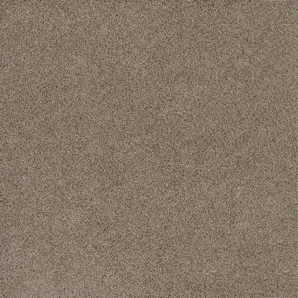 Home Decorators Collection Jack Bay I - Enjoyment - Beige 48 oz. SD Polyester Texture Installed Carpet