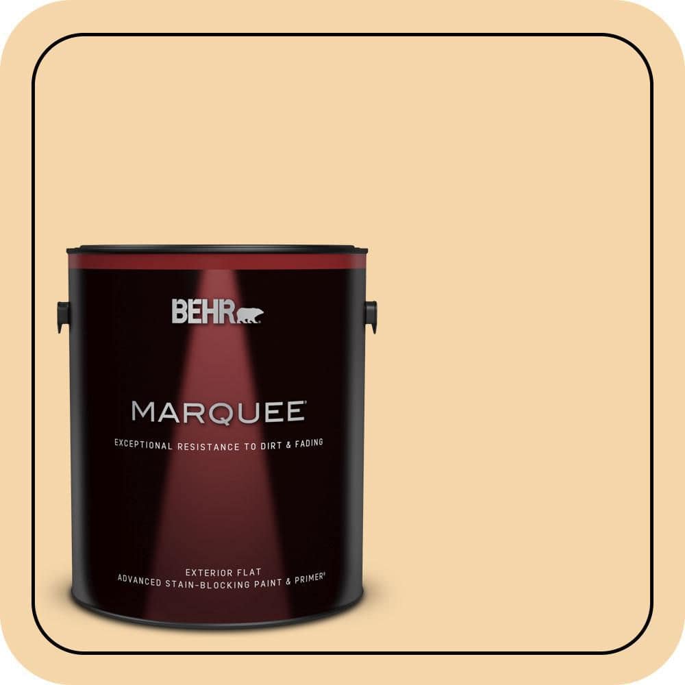 1 gal. #PPU6-08 Pale Honey Flat Exterior Paint & Primer price history on PriceWatchPro