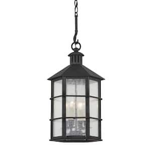 Lake County 4-Light French Iron, Clear Seeded Lantern Outdoor Pendant