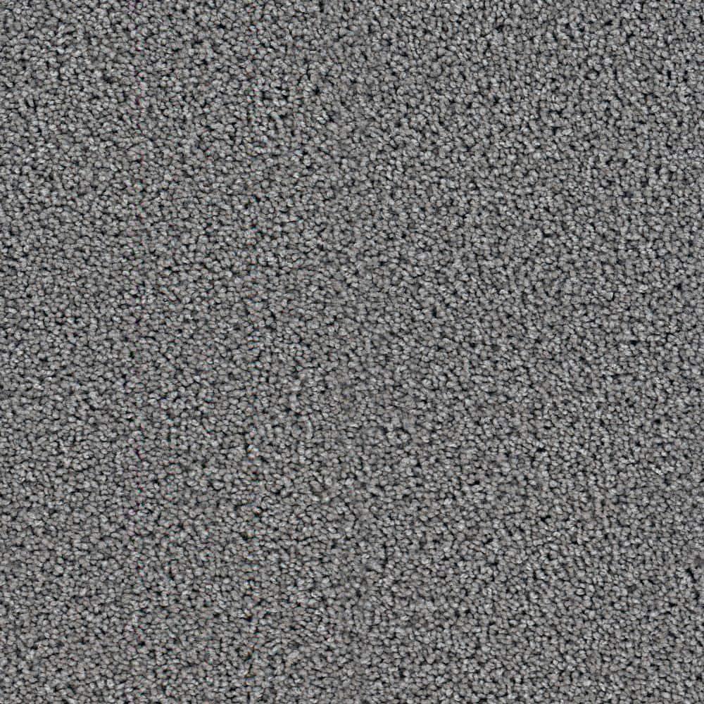 8 in. x  8 in. Texture Carpet Sample - Happy Chance -Color Peppy price history on PriceWatchPro