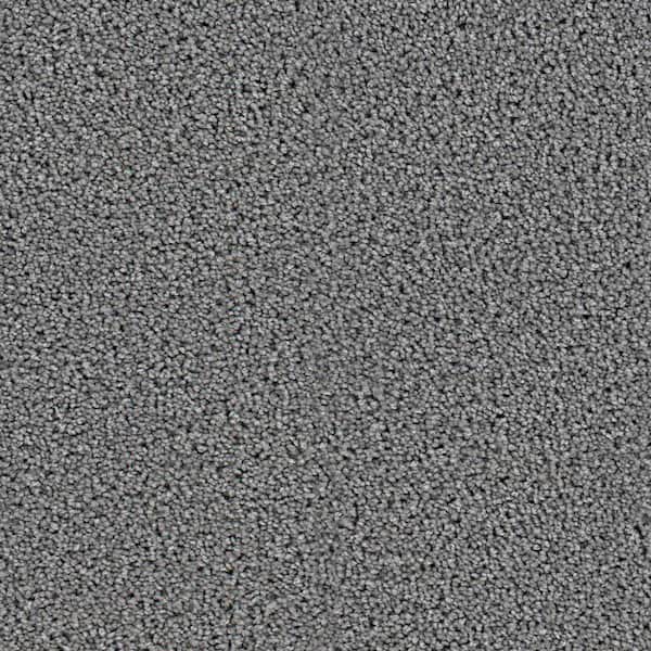 TrafficMaster 8 in. x  8 in. Texture Carpet Sample - Happy Chance -Color Peppy