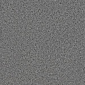 Happy Chance  - Peppy - Gray 30 oz. SD Polyester Texture Installed Carpet