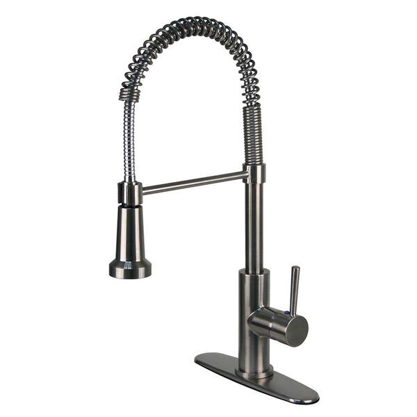 Fontaine Residential Single-Handle Pull-Down Sprayer Kitchen Faucet with Spring Neck in Stainless Steel