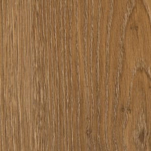 Take Home Sample - Polished Pro Honey Harmony 20 MIL x 6 in. W Click Lock Waterproof Luxury Vinyl Plank