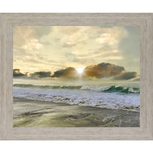 "Discovery" By Mike Calascibetta Framed Print Nature Wall Art 28 in. x 34 in.