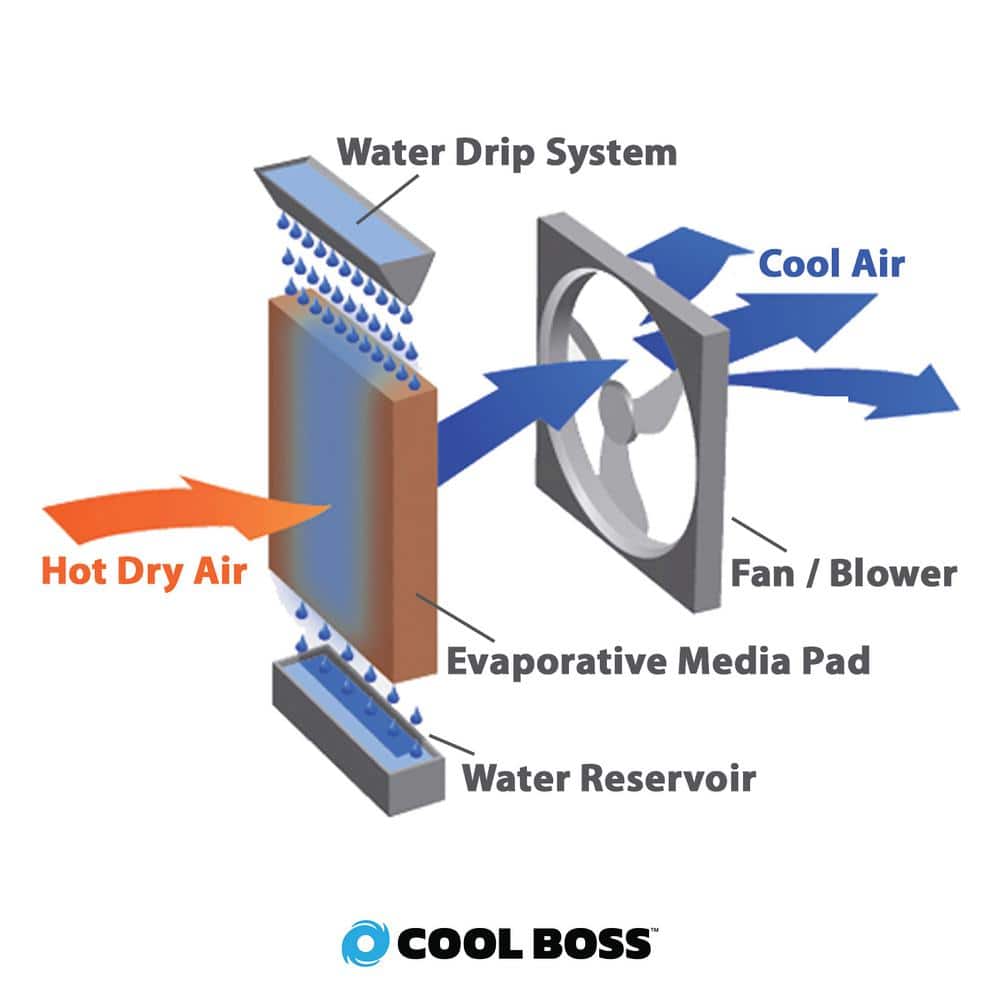 Cool Boss Black 80-Gallon Portable Evaporative Cooler with Remote Control