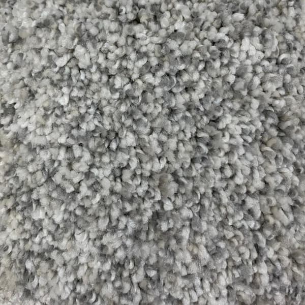 Lifeproof 8 in. x 8 in. Texture Carpet Sample - Hazelton II - Color Boost