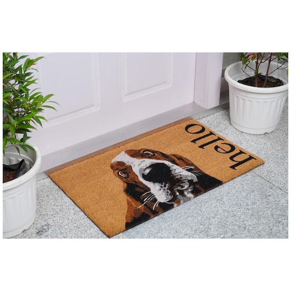Brown/White Basset Hound 17 in. x 29 in. Doormat
