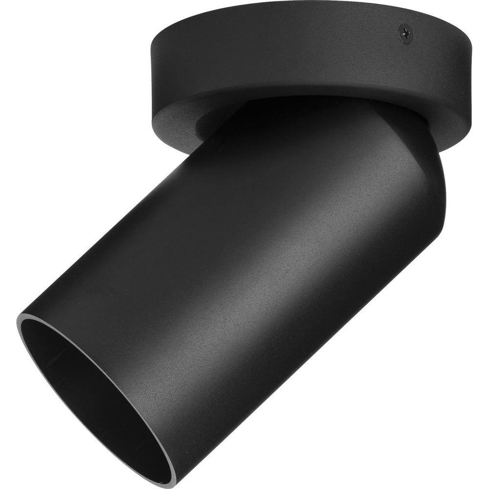 Black Aluminum Indoor/Outdoor Adjustable Cylinder Light
