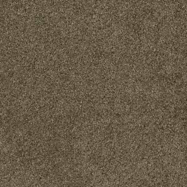 8 in. x 8 in. Texture Carpet Sample-Trestle II-Color Crossroads