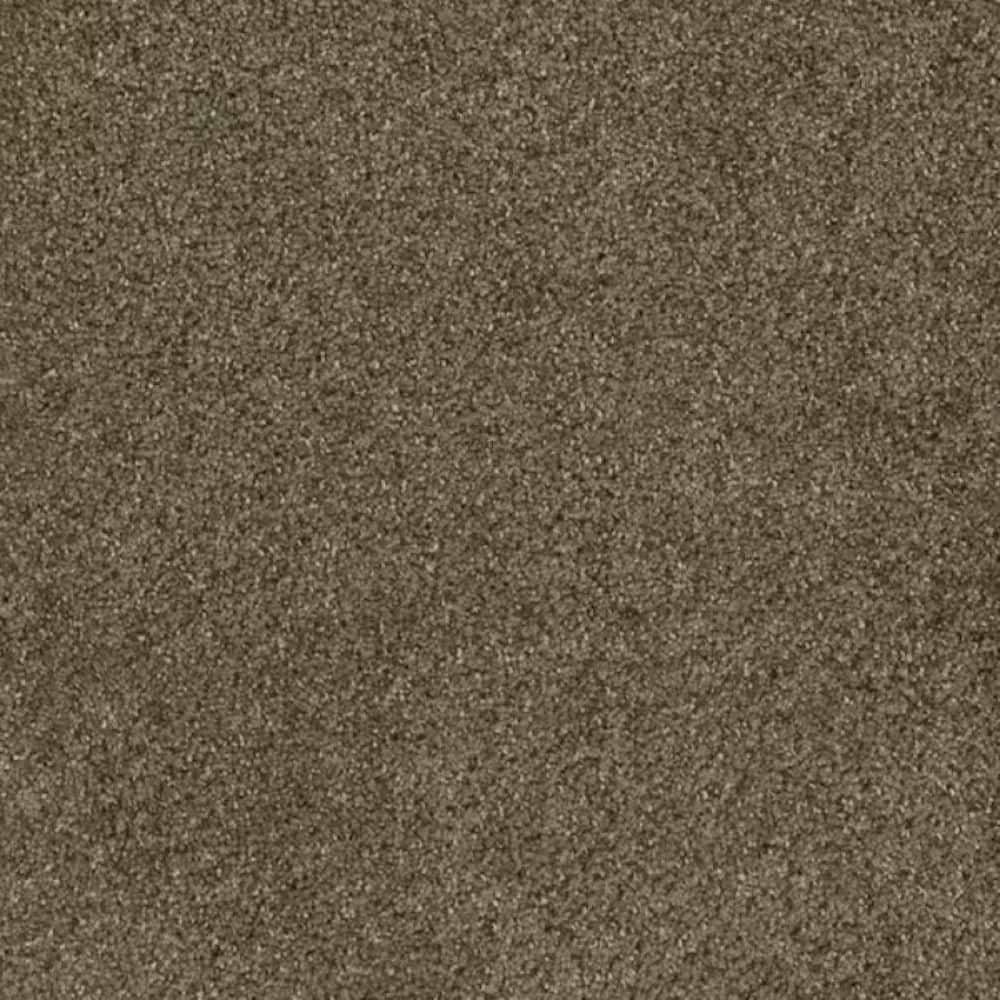 8 in. x 8 in. Texture Carpet Sample-Trestle I-Color Crossroads price history on PriceWatchPro