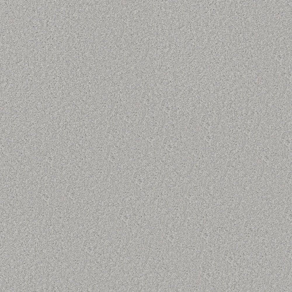 8 in. x 8 in. Texture Carpet Sample - Gifted Moments II - Color Adobe price history on PriceWatchPro